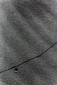 Image description is not available for 2010.017